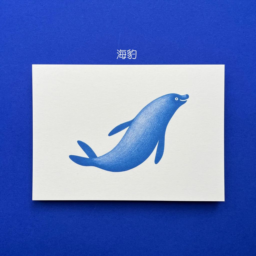 Postcard Marine Life 6 - Tuleň 明信片-海洋生物：海豹-fotor-20260803123247