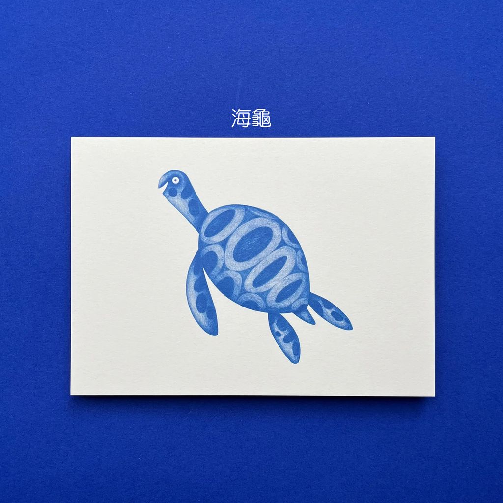 Postcard Marine Life 8 - Želva 明信片-海洋生物：海龜-fotor-20260803123410