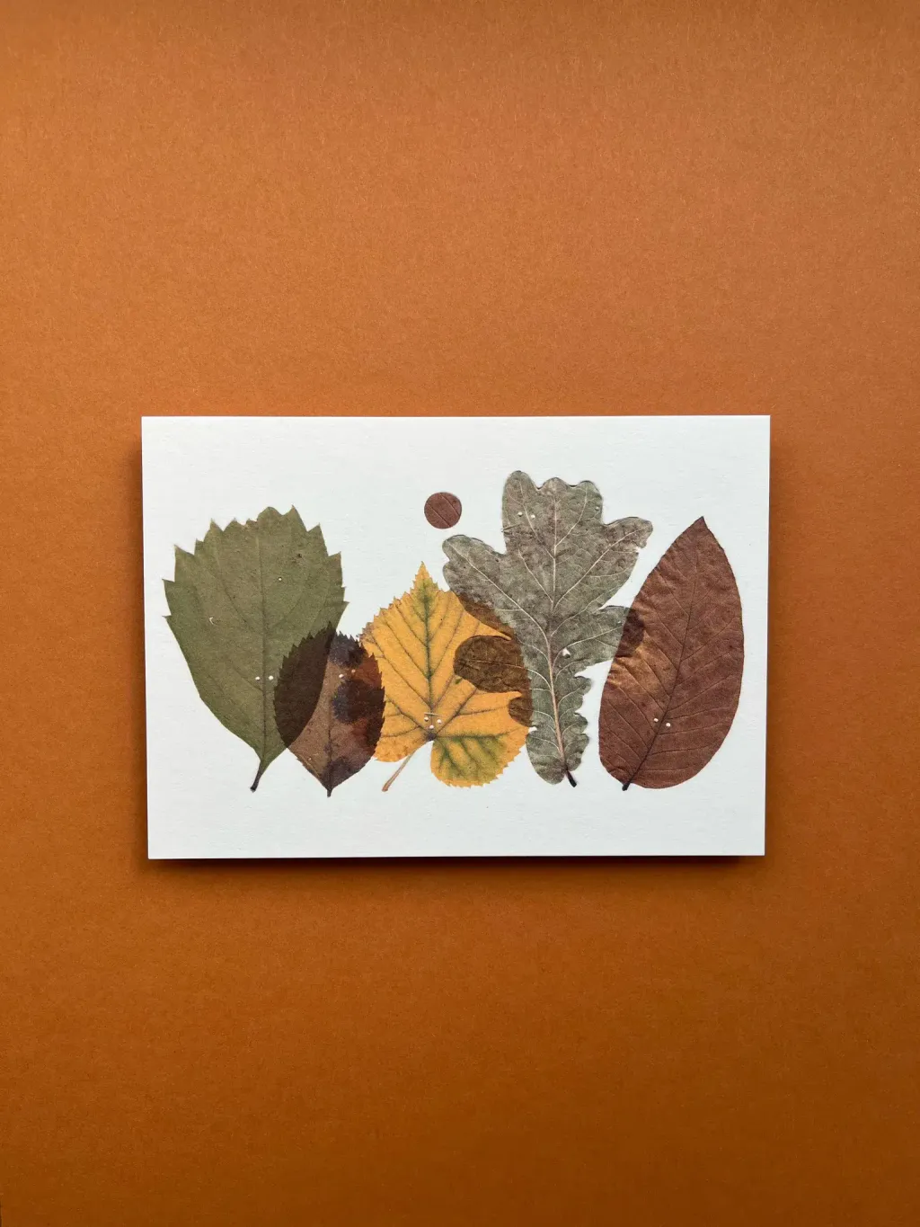 Postcard Cute Plants 3 - Podzim listí si hraje s balónem 明信片-可愛植物：秋天的葉子在玩球