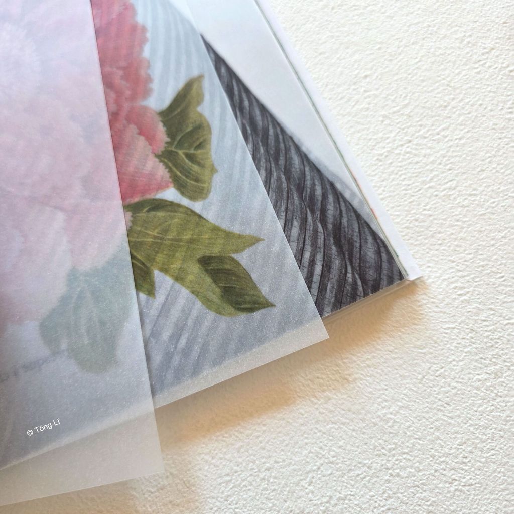 fotor-20260930122251