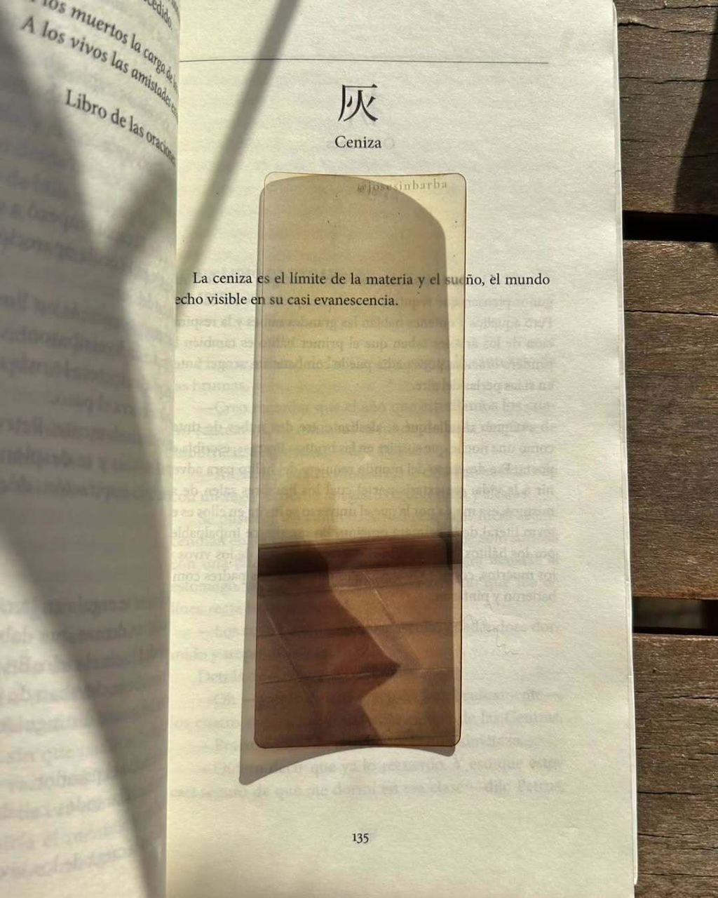 SaveClip.App_640326838_18571995214048369_3110124305480255205_n