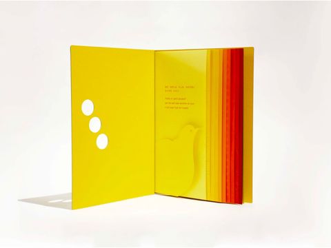 YELLOW TO RED 02.jpg