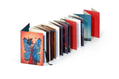 116849_Madama_butterfly_detalle_06