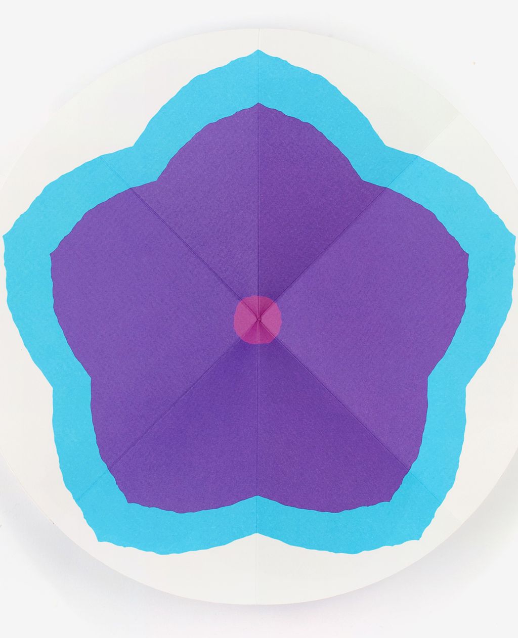 bloom-2-julie-safirstein-editions-du-livre-5-1168x1440