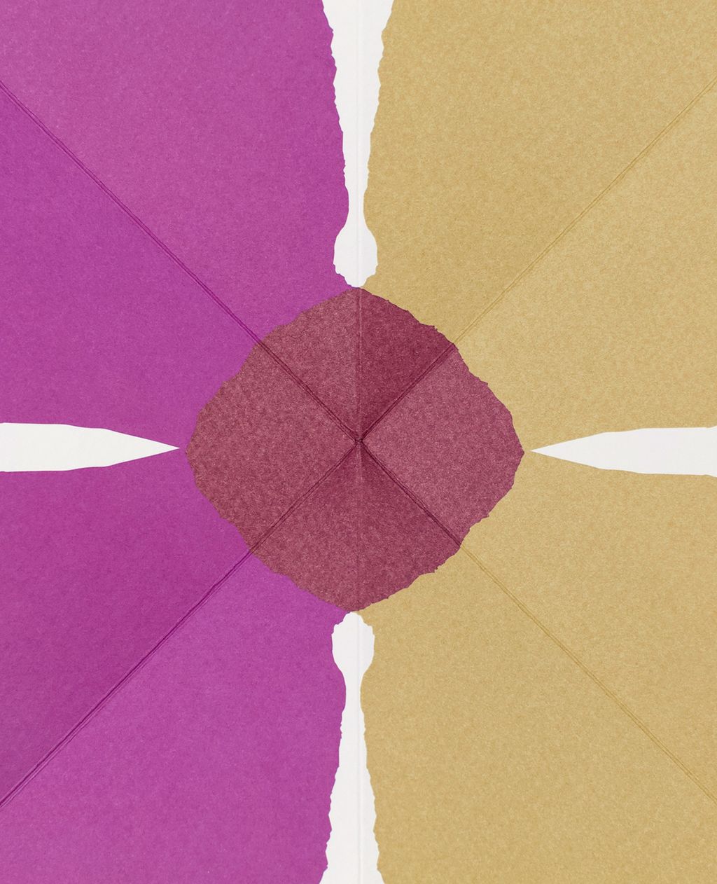 bloom-2-julie-safirstein-editions-du-livre-3-1168x1440