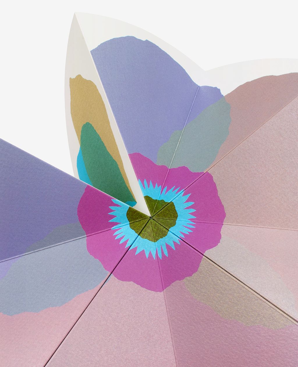 bloom-2-julie-safirstein-editions-du-livre-6-1168x1440