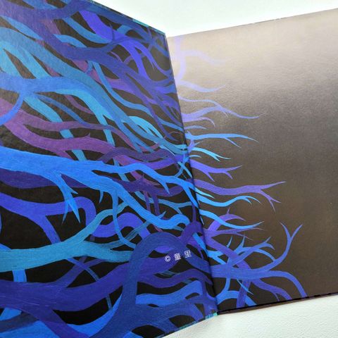 fotor-20231207142912