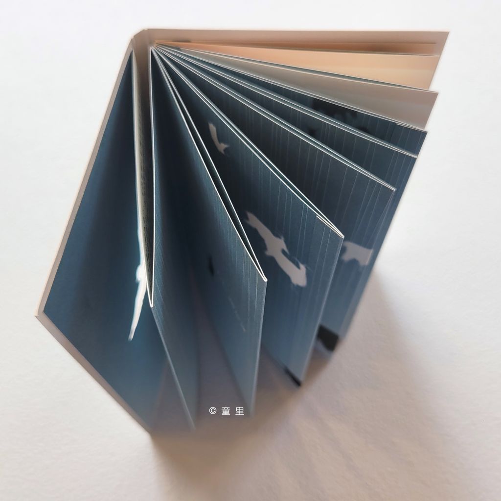 fotor-20240701143125