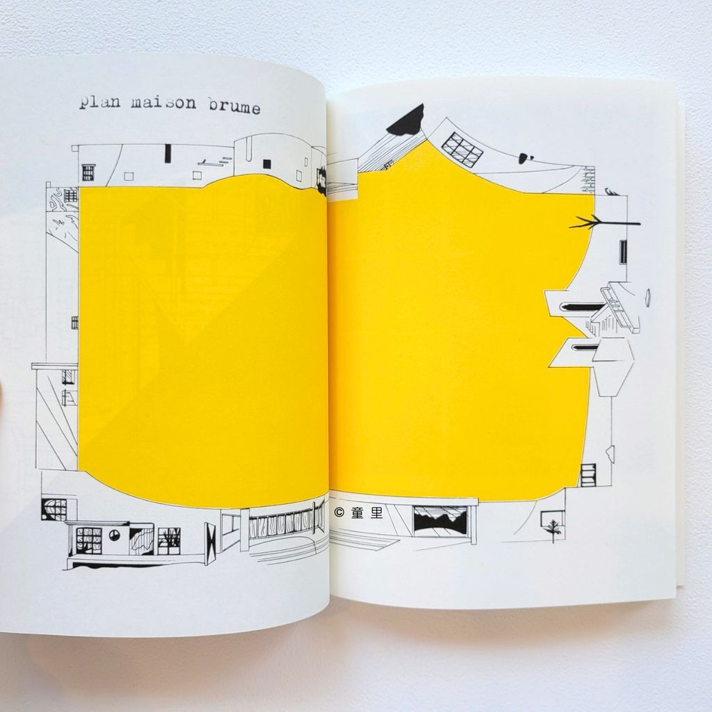 fotor-20240730232457