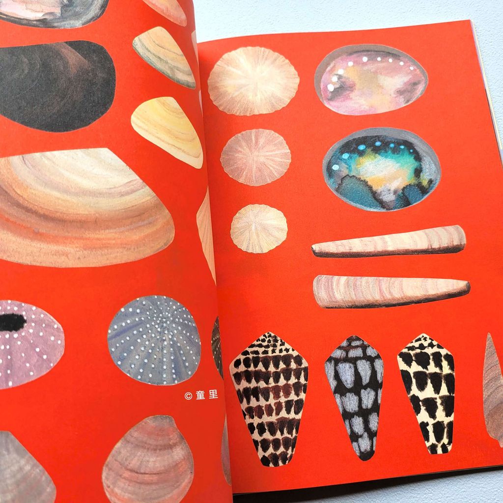 fotor-20240912173425