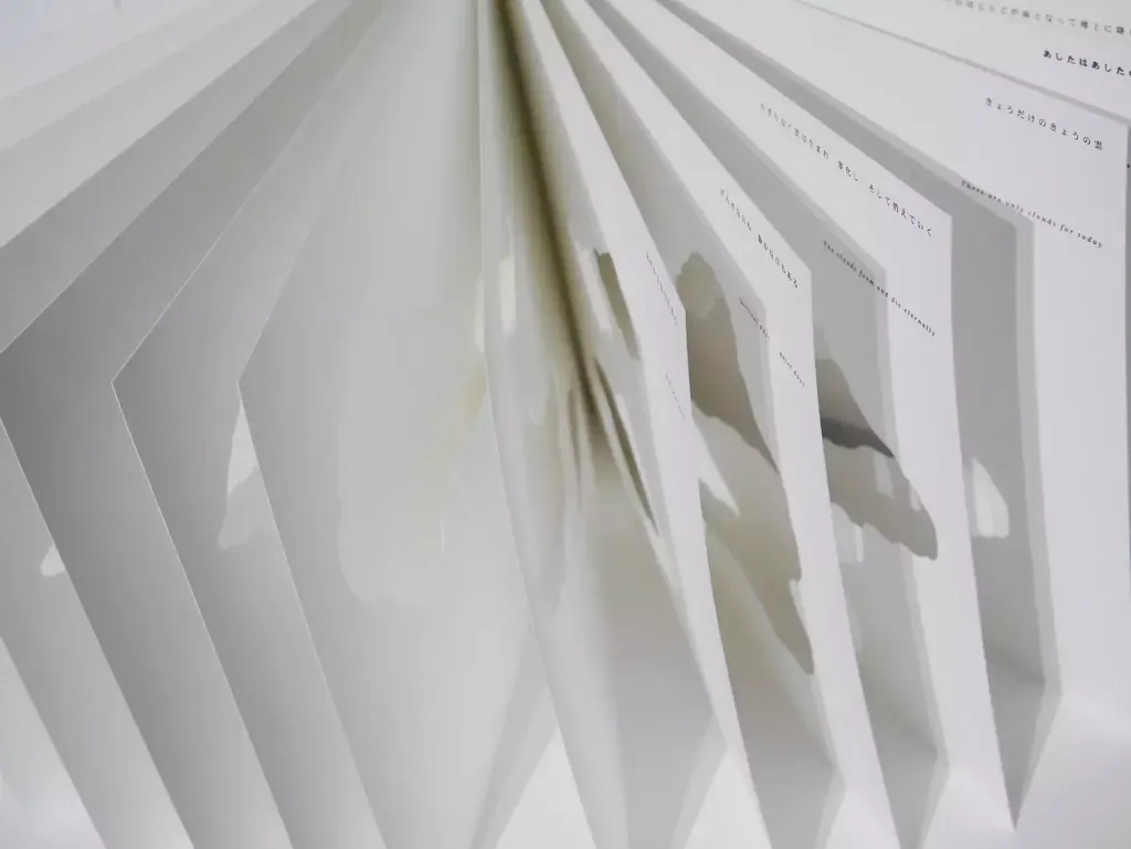 80f3e7_238792a134c14633a9e9f6691ec5c32f~mv2