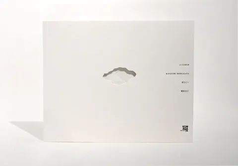 80f3e7_fd41a234d03b49fe814403db72287323~mv2