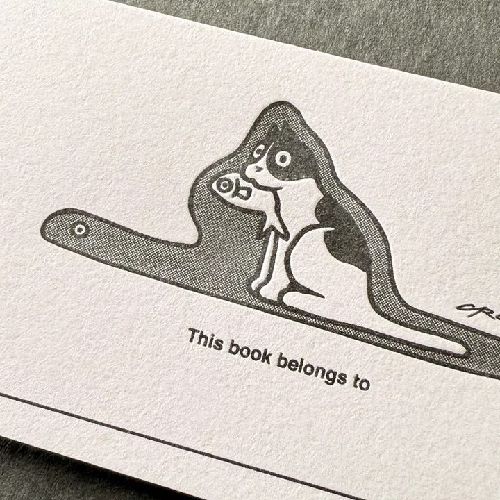 80768751