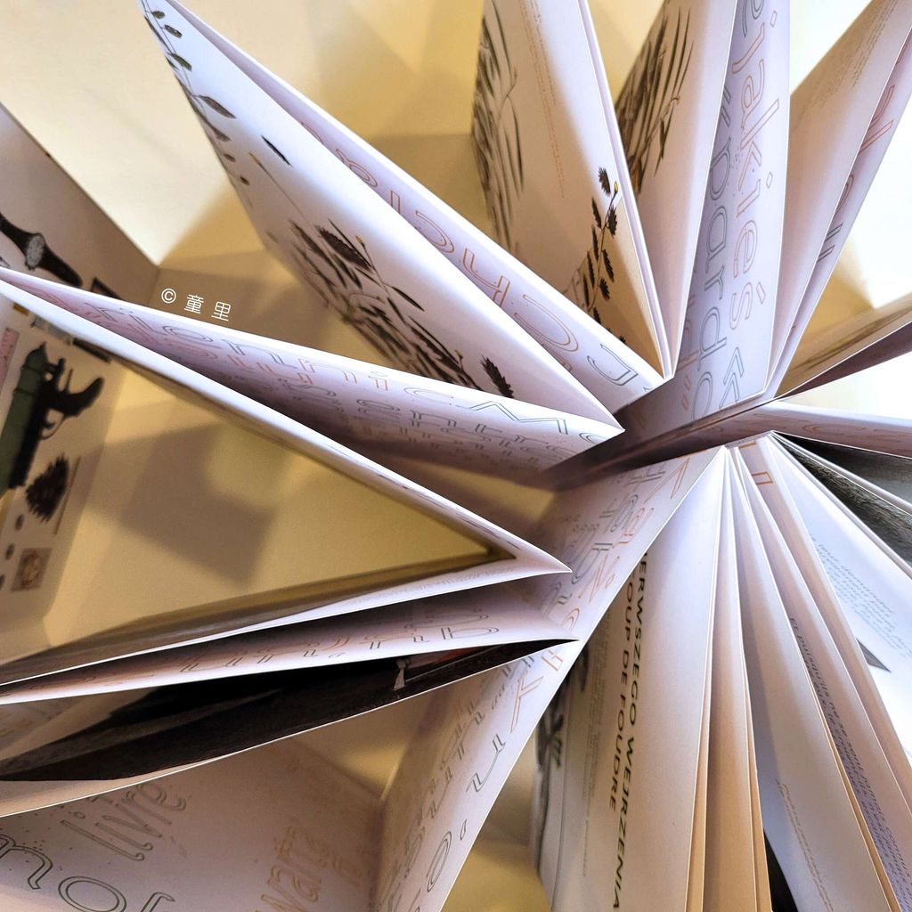 fotor-20250104193353