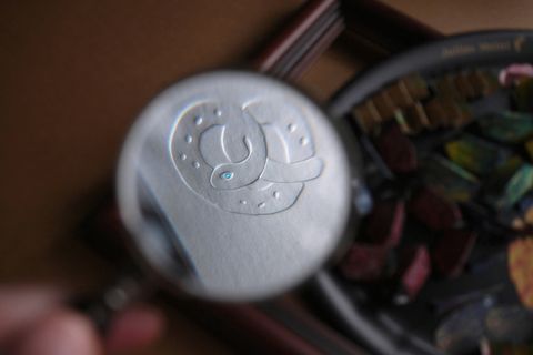 龜1