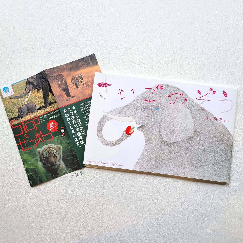 fotor-20250309141344