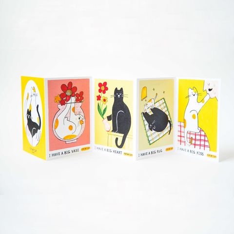 for-my-cat_2