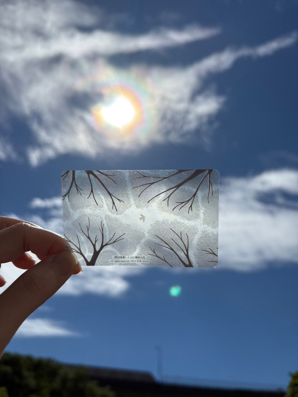 樹冠羞避限量透卡_1