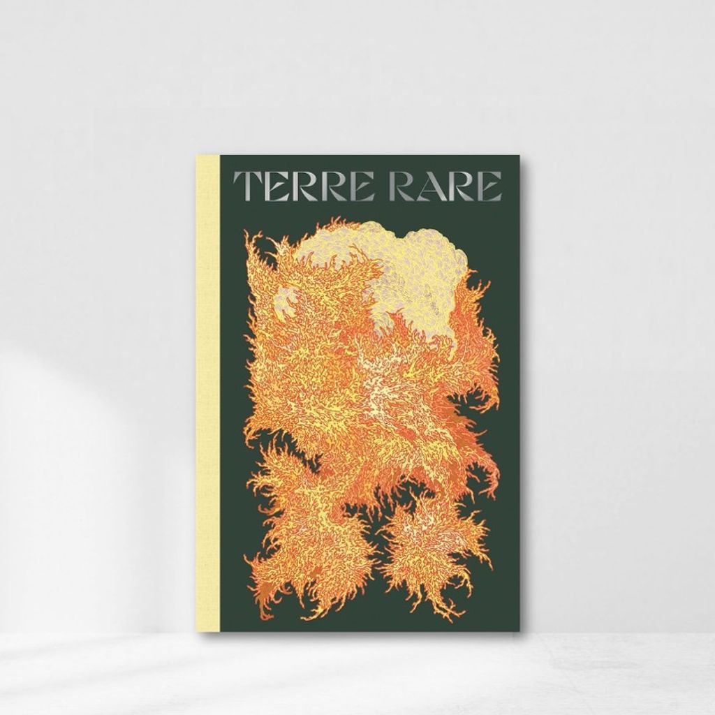 Web-Cover_terre rare