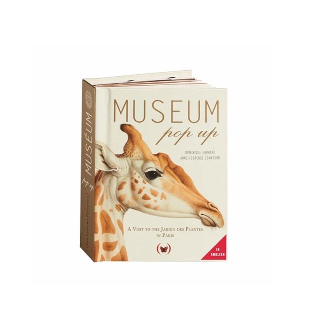 Web-Cover_Museum pop up