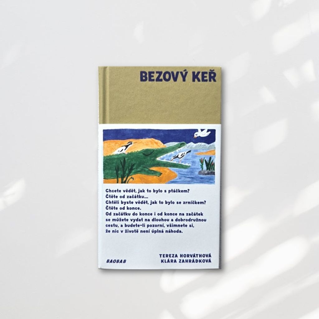 Web-Cover_封面格式202412