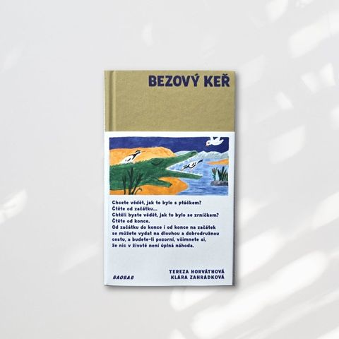 Web-Cover_封面格式202412