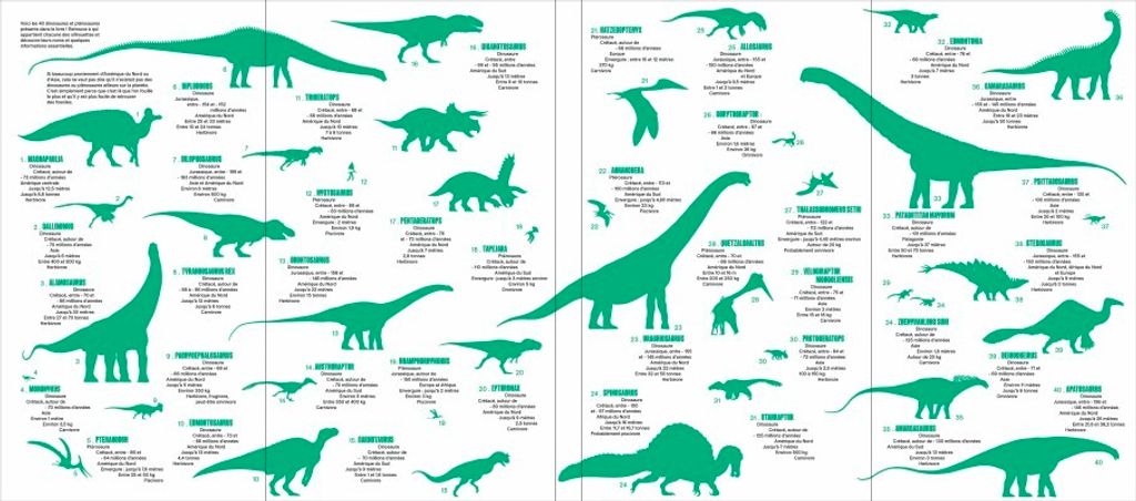 dinojacquetteint-e1718114948137