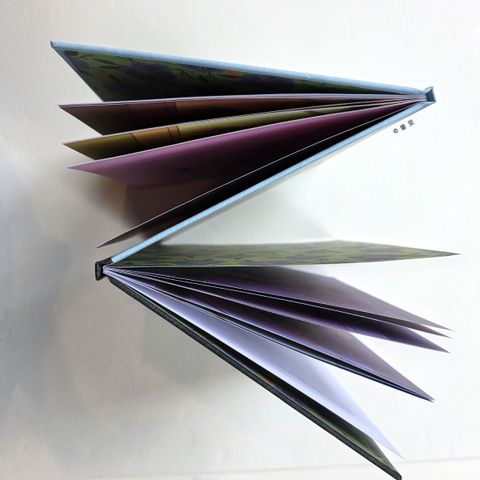 fotor-20251029211051