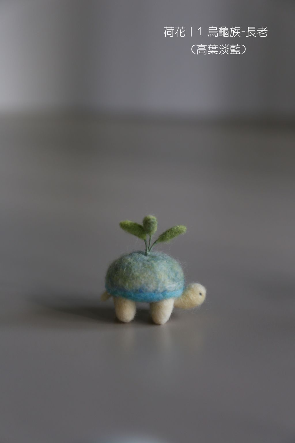 1 烏龜族-長老 (高葉淡藍)-fotor-2025110811202