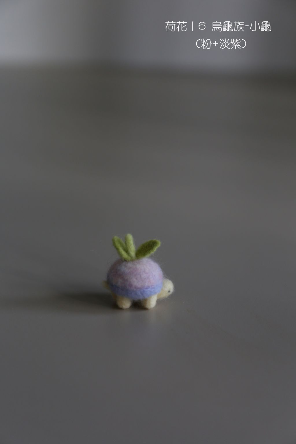 6 烏龜族-小龜 (粉+淡紫)-fotor-20251108112449
