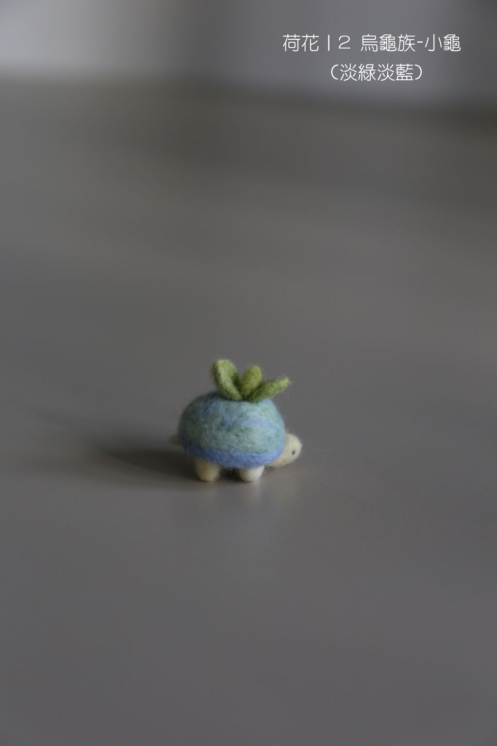 2 烏龜族-小龜 (淡綠淡藍)-fotor-20251108112043