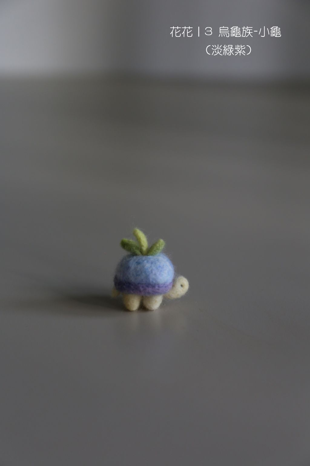 3 烏龜族-小龜 (淡綠紫)-fotor-20251108112134