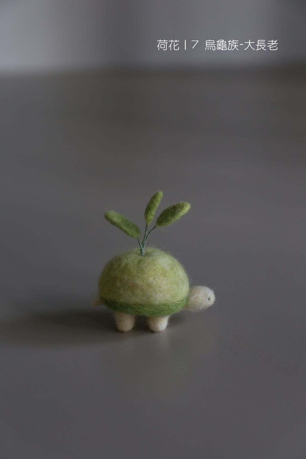 7 烏龜族-大長老 (高葉淡綠草綠)-fotor-20251108112522