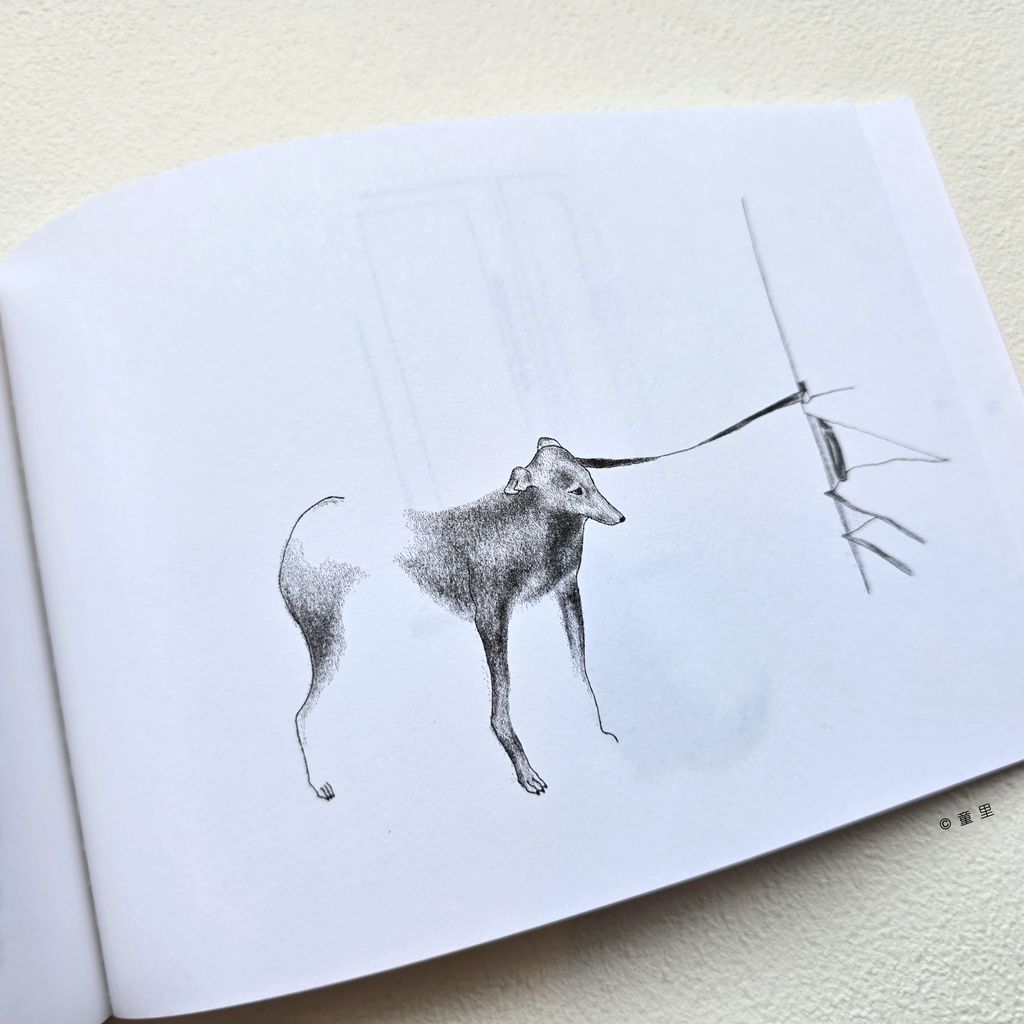 fotor-20251118204814