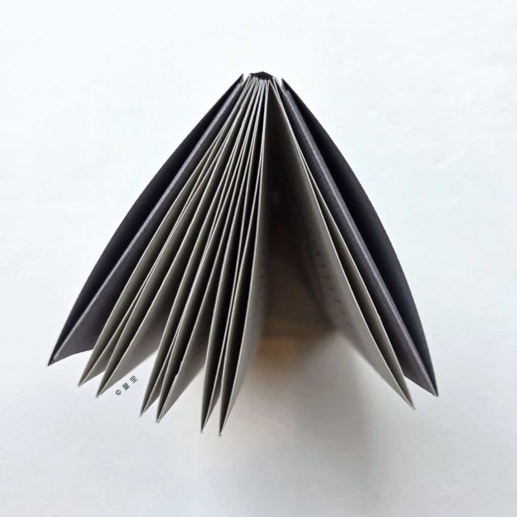 fotor-20251120162839