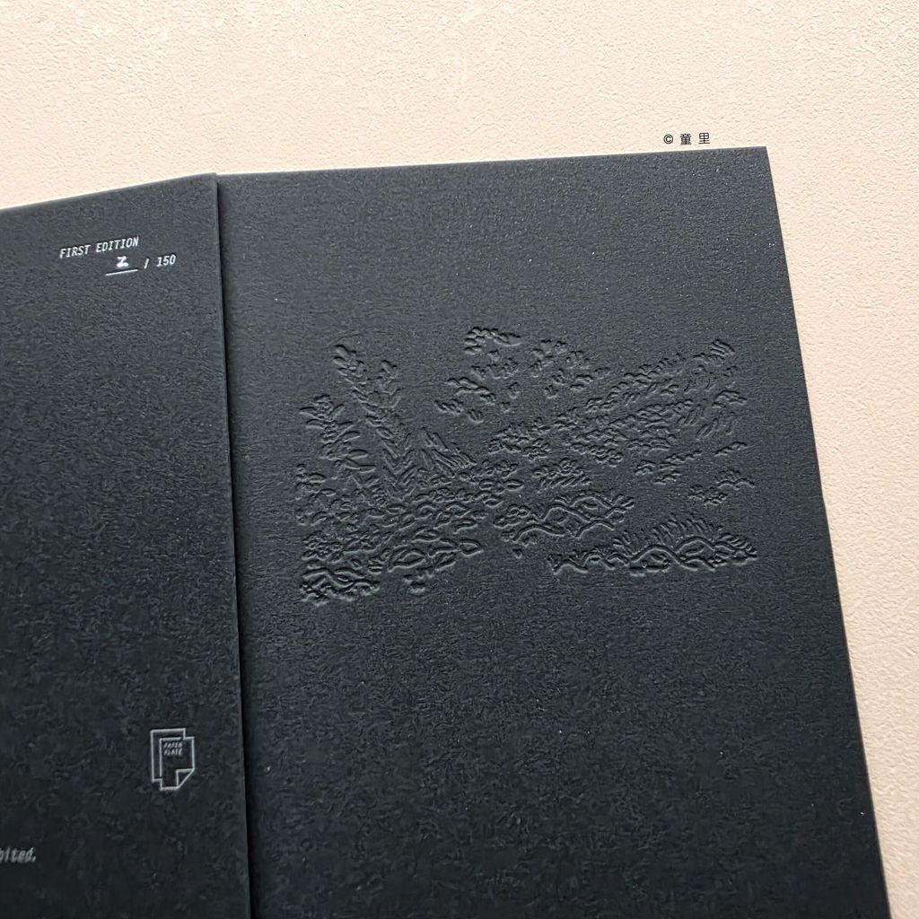 fotor-20251122122645