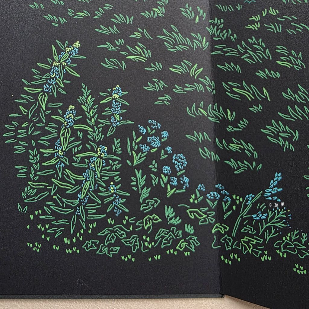 fotor-20251122122815