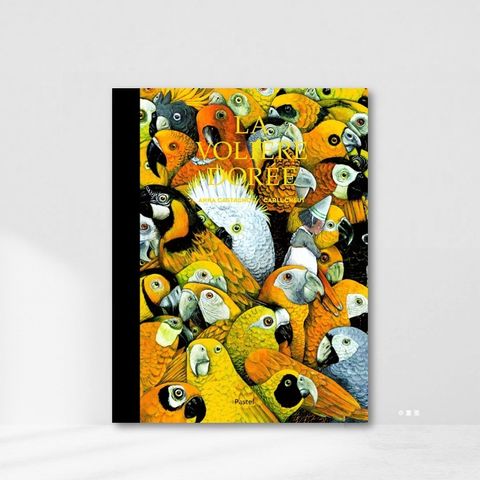 Web-Cover_封面格式La fée sorcière