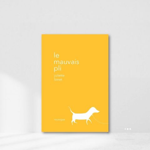 Web-Cover_封面格式Le mauvais pli