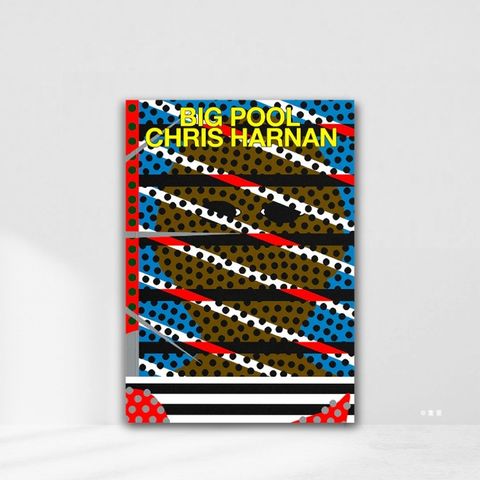 Web-Cover_封面格式Big Pool