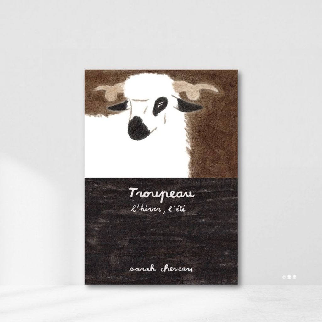 Web-Cover_封面格式La fée sorcière