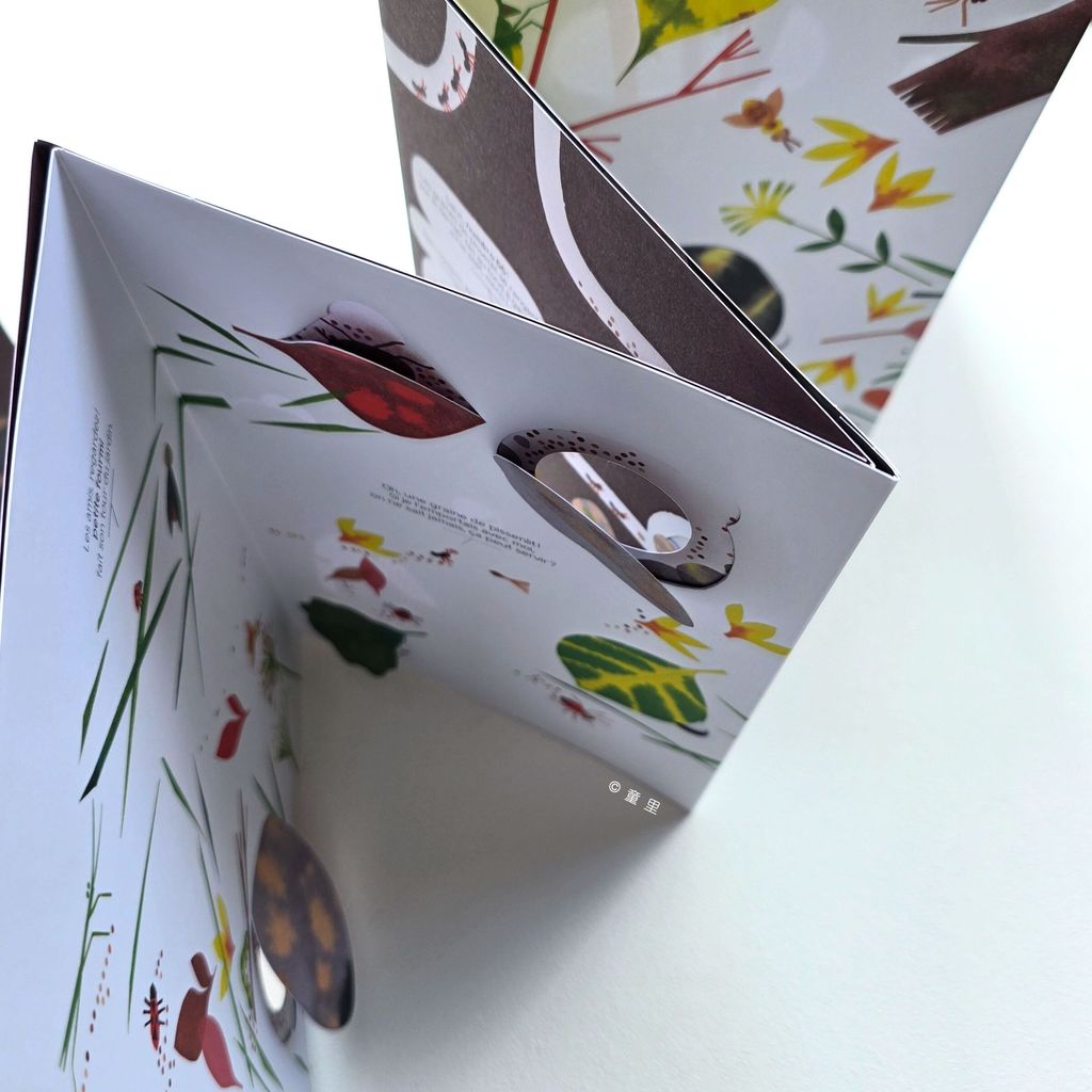 fotor-20251205211338