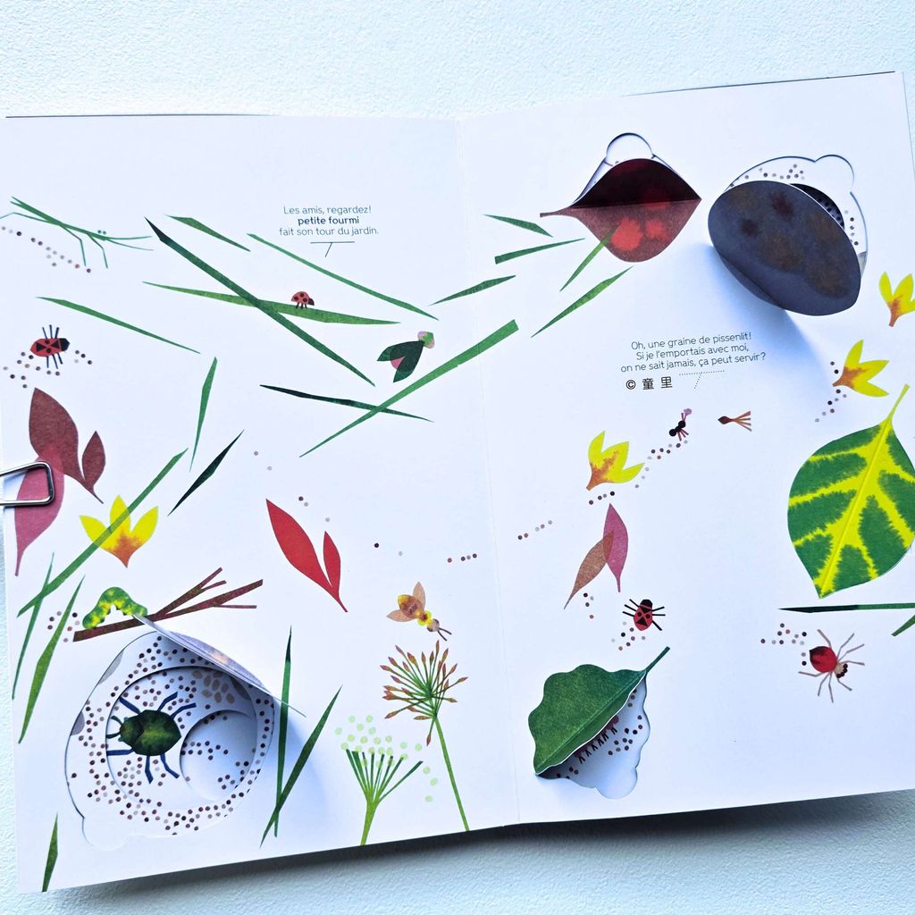 fotor-20251205211258