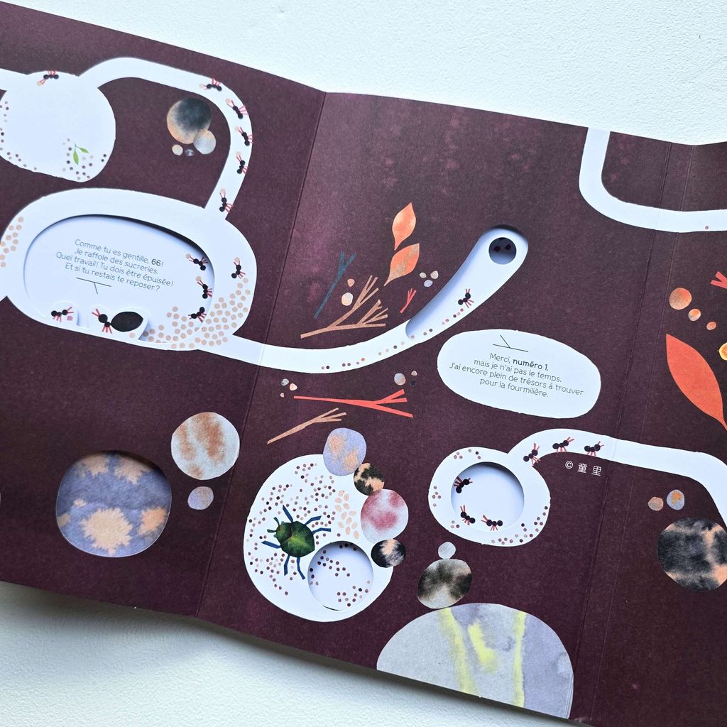 fotor-20251205211455