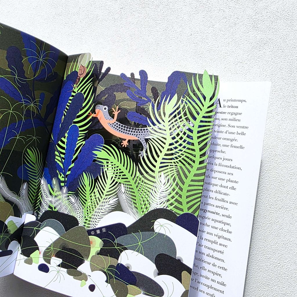 fotor-20251205222551