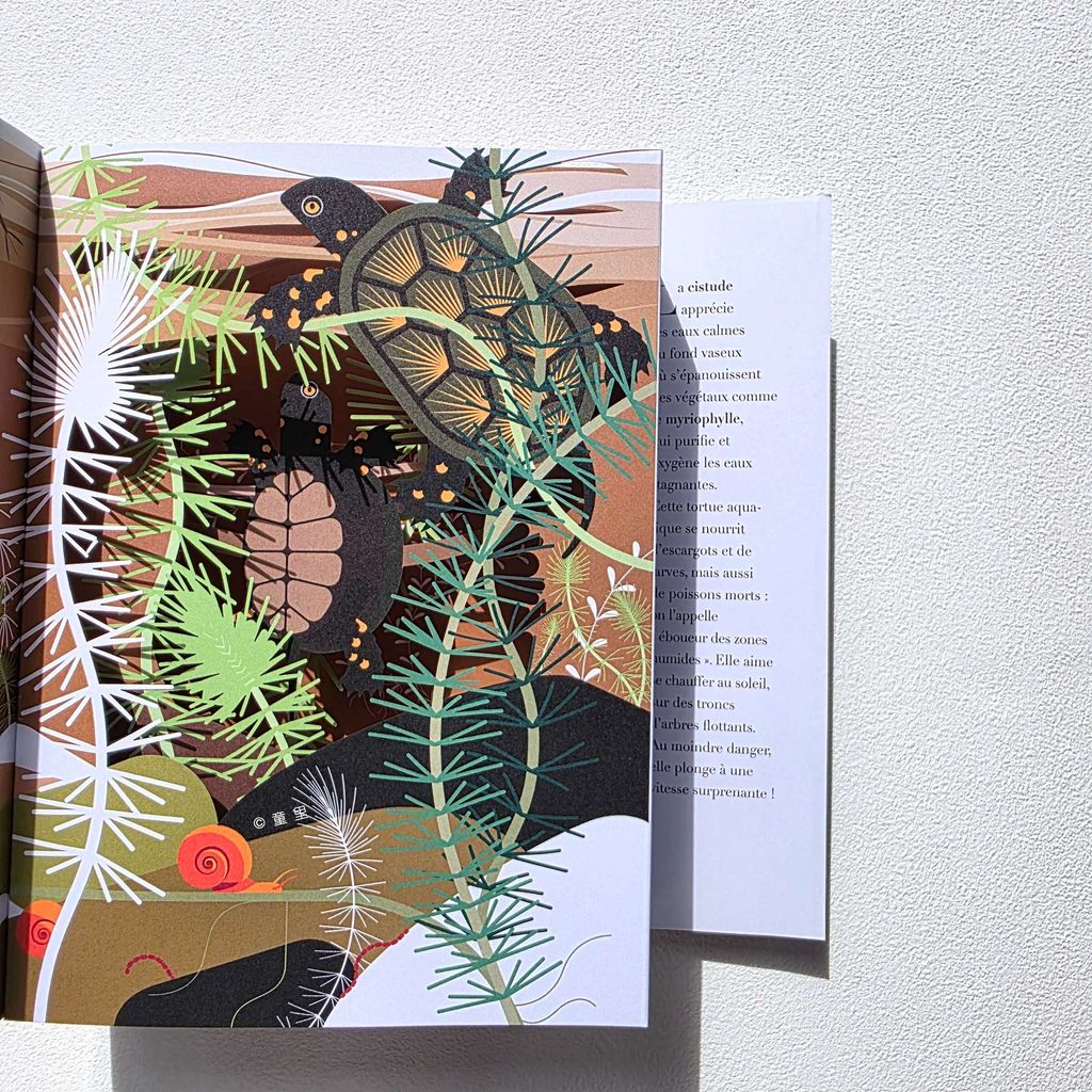 fotor-20251205222620