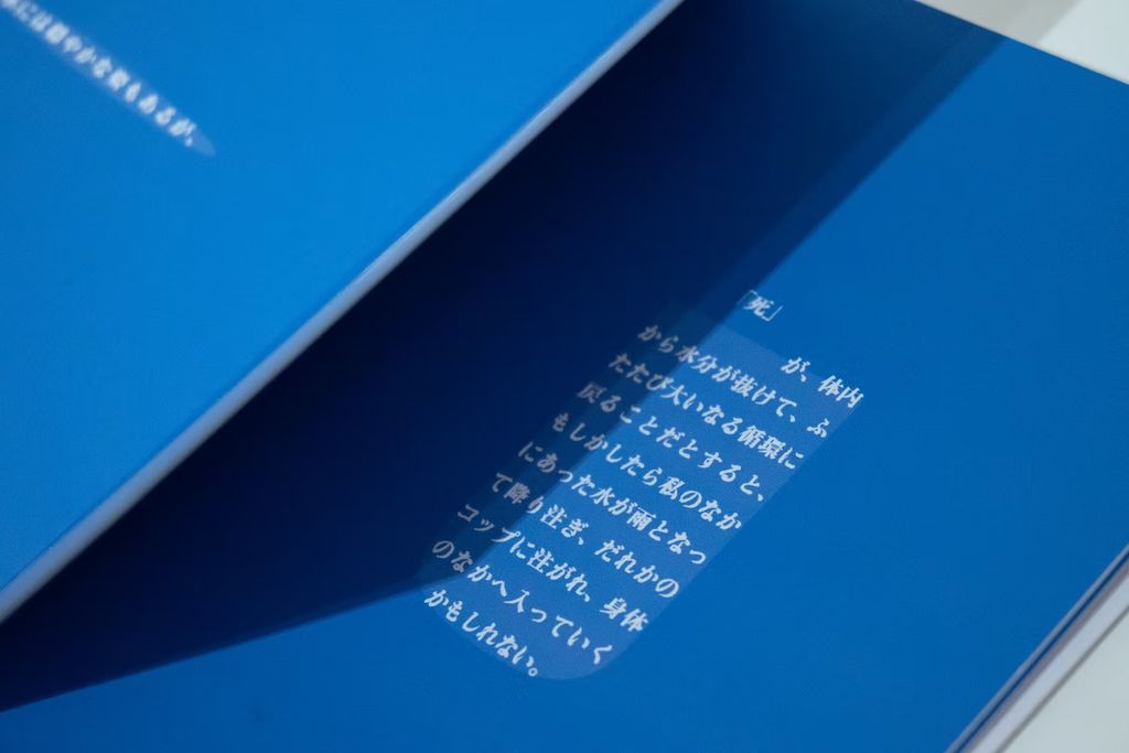 fotor-20260129134515