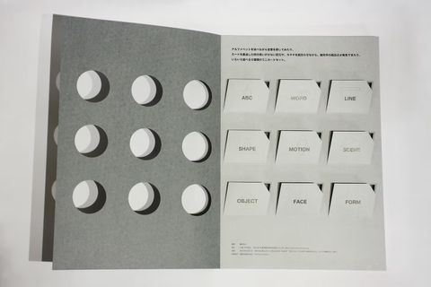 fotor-20260129153642