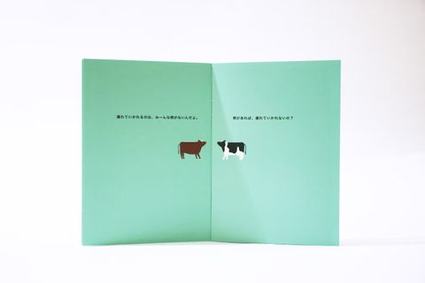 fotor-20260129162948