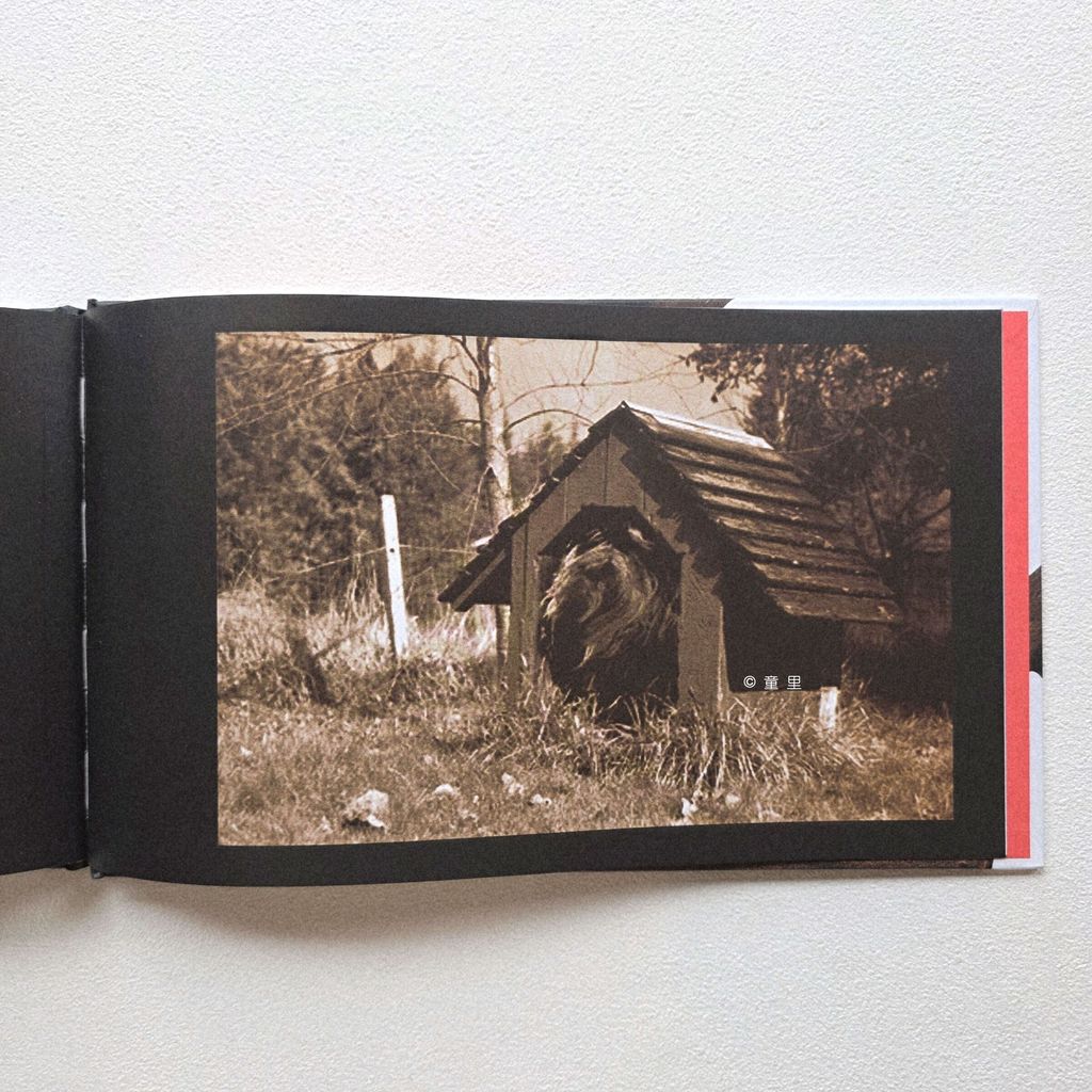 fotor-20250402135221